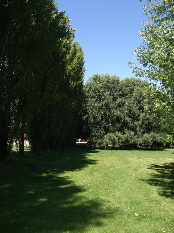 Agriturismo Greppi Crescentino ภายนอก รูปภาพ